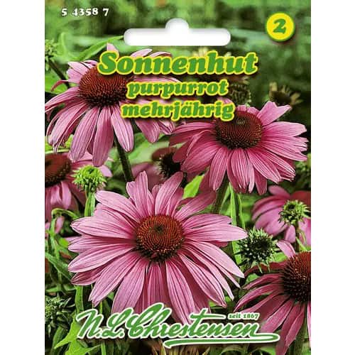 Ехинацея лилава Sonnenhut изображение 1 артикул 96443