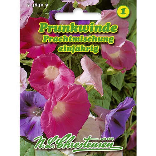 Пурпурно грамофонче, смес изображение 1 артикул 86178