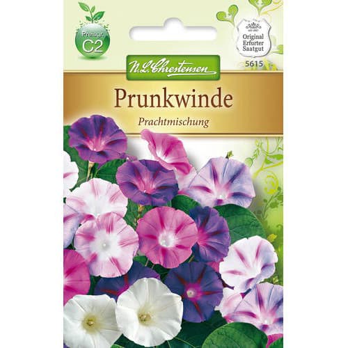 Пурпурно грамофонче, смес Chrestensen изображение 1 артикул 78983