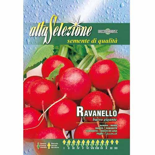 Репичка Burro gigante изображение 1 артикул 96393