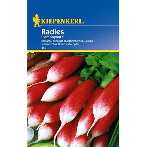 Репичка продълговата Flamboyant 2 изображение 1 артикул 96650