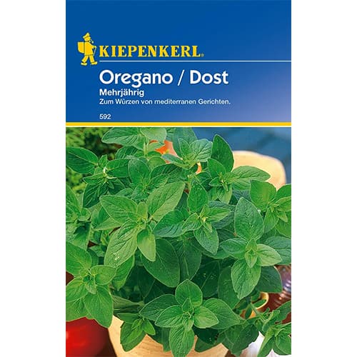 Риган многогодишен изображение 1 артикул 77483