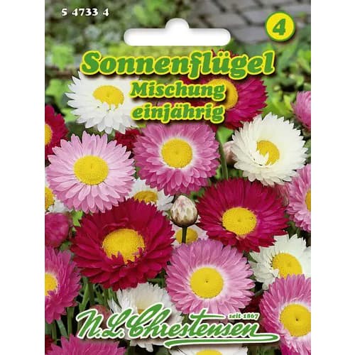 Розов хелиптерум, смес артикул фото 1 Розов хелиптерум, смес изображение 1 артикул 96427