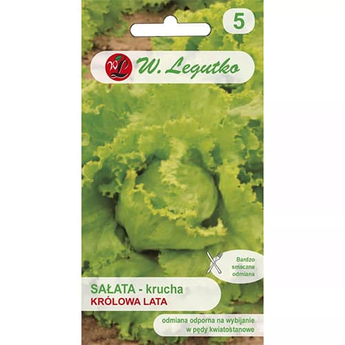 Салата айсберг Królowa Lata изображение 1 артикул 78499
