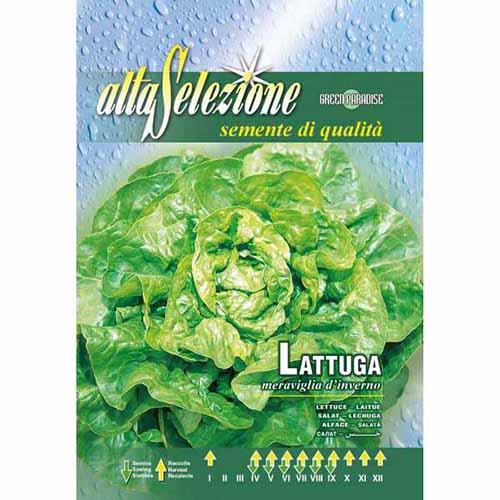 Салата Meraviglia d'Inverno артикул фото 1 Салата Meraviglia d'Inverno изображение 1 артикул 87172
