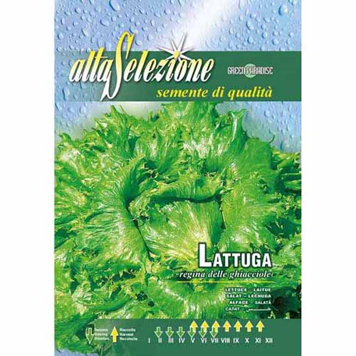 Салата Regina delle ghiacciole артикул фото 1 Салата Regina delle ghiacciole изображение 1 артикул 96396