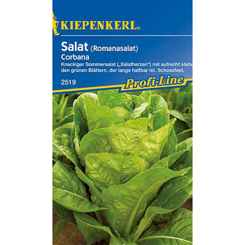 Салата Ромен Corbana изображение 1 артикул 86516