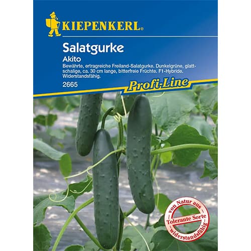 Салатна краставица Akito, F1 изображение 1 артикул 96667