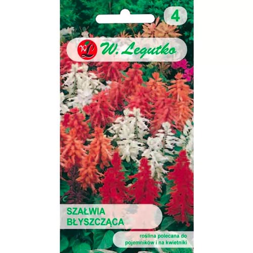 Салвия декоративна, смес Legutko изображение 1 артикул 78592