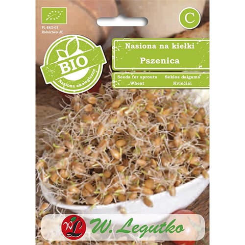 Семена за кълнове - пшеница артикул фото 1 Семена за кълнове - пшеница изображение 1 артикул 86683