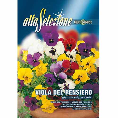 Швейцарска многоцветна теменужка, смес от цветове изображение 1 артикул 96363