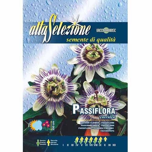 Синьо пасифлора изображение 1 артикул 96337