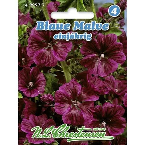 Градинска ружа синя изображение 1 артикул 96403