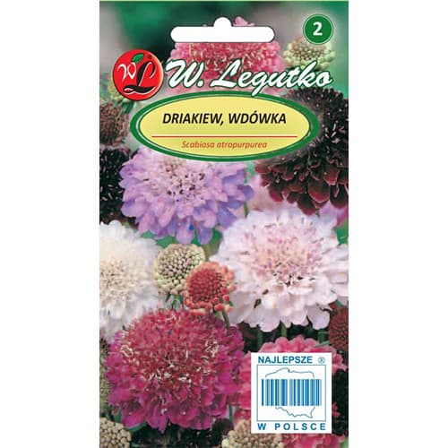 Скабиоза кавказка, смес изображение 1 артикул 87856