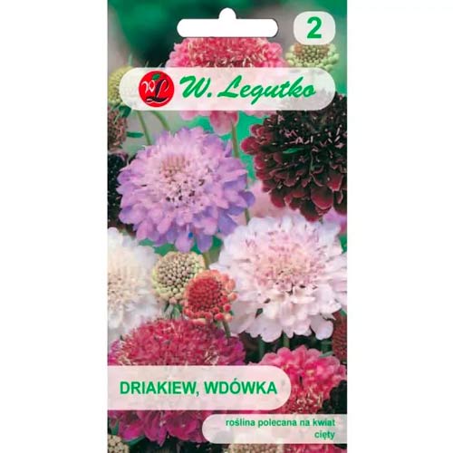 Скабиоза, смес Legutko изображение 1 артикул 96698