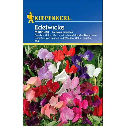 Сладък грах Unicorn, смес от цветове изображение 1 артикул 96532