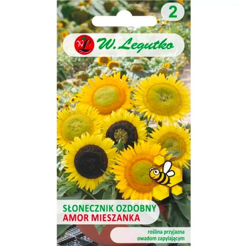 Слънчоглед Amor Legutko изображение 1 артикул 78586