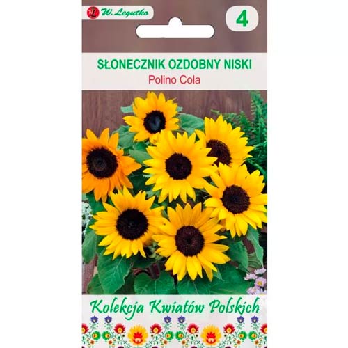 Слънчоглед декоративен Polino Cola Legutko артикул фото 1 Слънчоглед декоративен Polino Cola Legutko изображение 1 артикул 86735