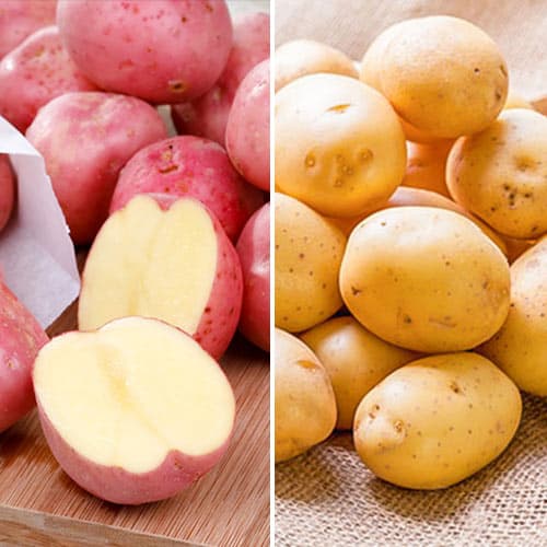 Супер оферта! Картофи за диета, комплект от 2 сорта изображение 1 артикул 9641