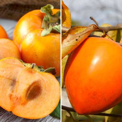 Супер предложение! Комплект Райска ябълка, 2 разсада изображение 1 артикул 4881