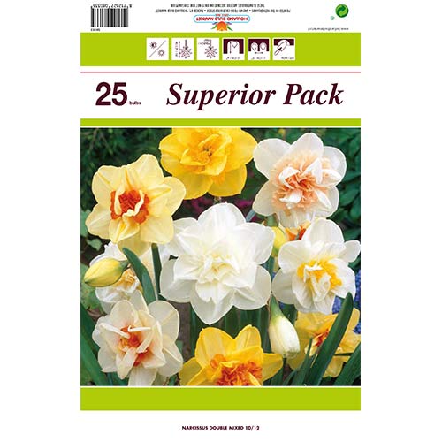 Супер предложение! Комплект хавлиени нарциси микс от 25 луковици изображение 1 артикул 70317