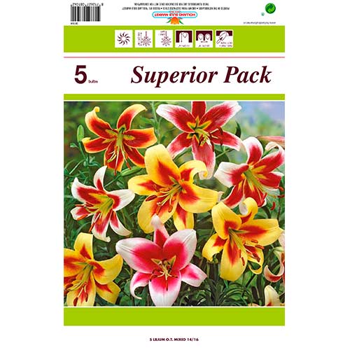 Супер предложение! Лилия гигант (ОТ хибрид) микс от 5 луковици изображение 1 артикул 76474