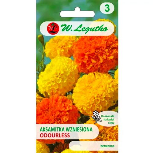 Тагетес без мирис, смес Legutko изображение 1 артикул 50080