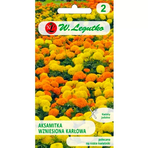 Тагетес джудже, смес Legutko артикул фото 1 Тагетес джудже, смес Legutko изображение 1 артикул 50081