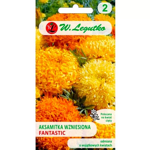 Тагетес Fantastic, смес Legutko изображение 1 артикул 69554