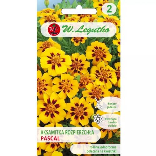 Тагетес разпръснати с единични цветя Pascal Legutko артикул фото 1 Тагетес разпръснати с единични цветя Pascal Legutko изображение 1 артикул 96690