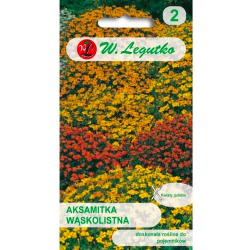 Тагетес, смес Legutko артикул фото 1 Тагетес, смес Legutko изображение 1 артикул 50079