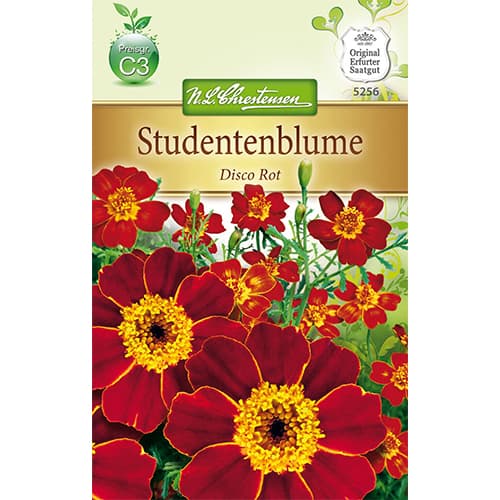 Тагетис нисък Disco Rot изображение 1 артикул 78745