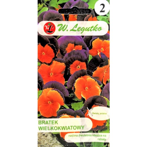 Теменуга едра Orange Violet Legutko изображение 1 артикул 69571