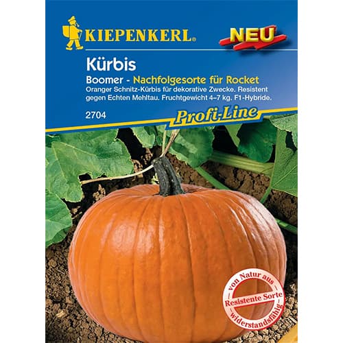 Тиква Boomer, F1 артикул фото 1 Тиква Boomer, F1 изображение 1 артикул 87786