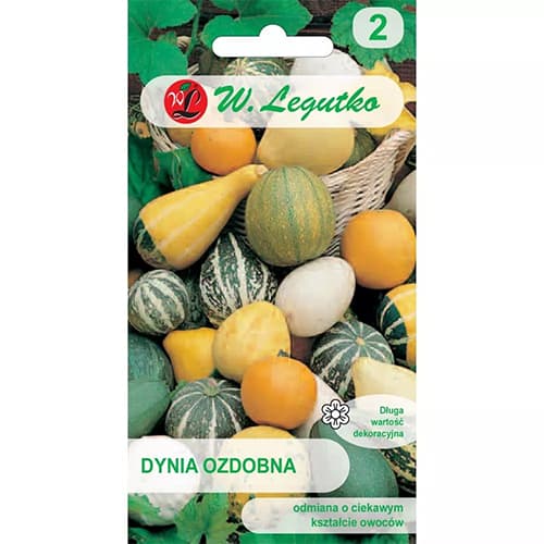 Тиква декоративна, смес изображение 1 артикул 69584