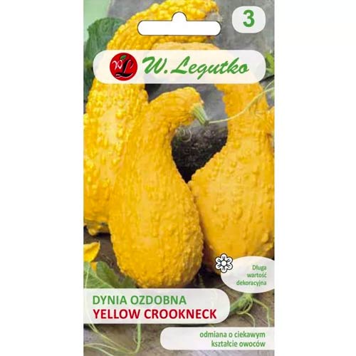 Тиква декоративна Yellow Croockneck Legutko артикул фото 1 Тиква декоративна Yellow Croockneck Legutko изображение 1 артикул 96739
