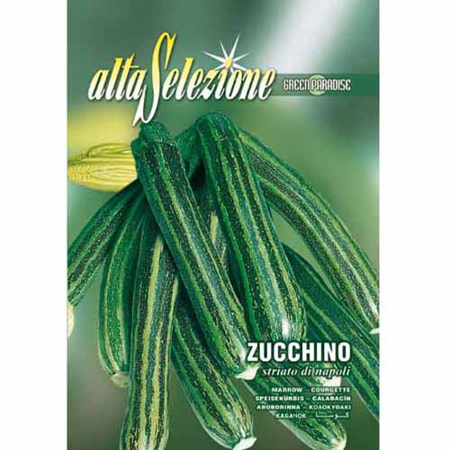Тиквички (цукини) Striato di Napoli артикул фото 1 Тиквички (цукини) Striato di Napoli изображение 1 артикул 96380