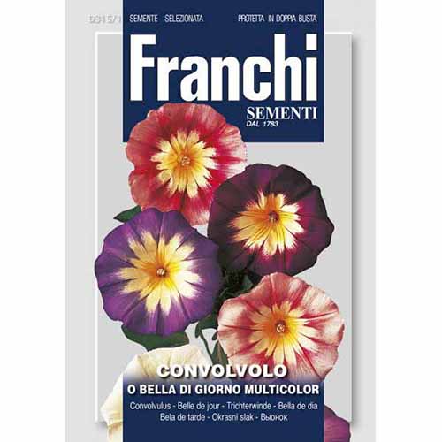 Трицветна поветица, смес от цветове изображение 1 артикул 87315