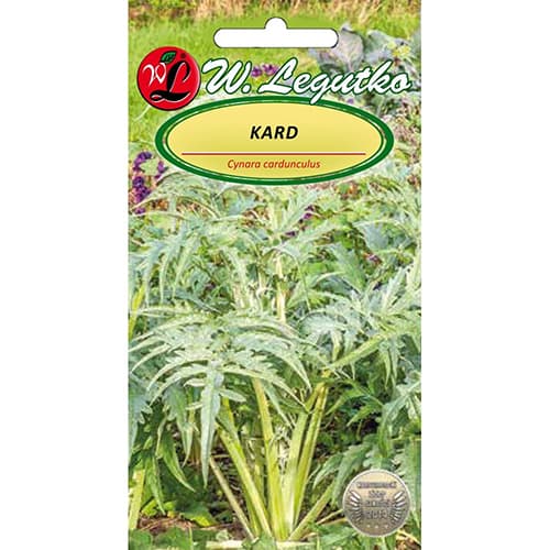 Цинара Bianco avorio изображение 1 артикул 96809