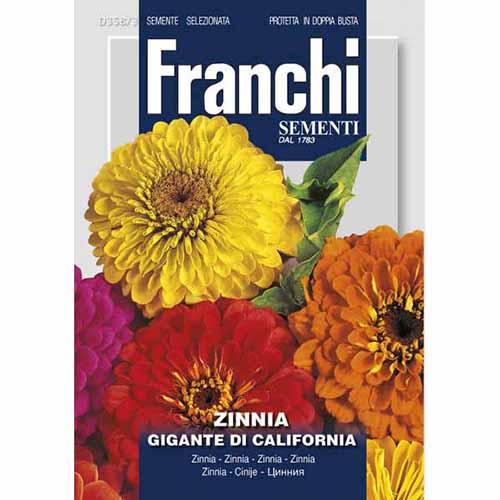 Циния Gigante de California, смес от цветове изображение 1 артикул 87305