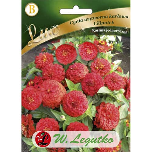 Циния ниска Liliputek, черевена изображение 1 артикул 78662