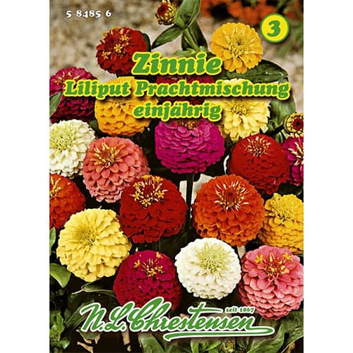 Циния ниска, Prachtmischung изображение 1 артикул 87823