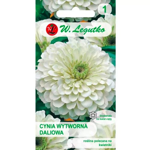 Циния Polar Bear Legutko изображение 1 артикул 78540