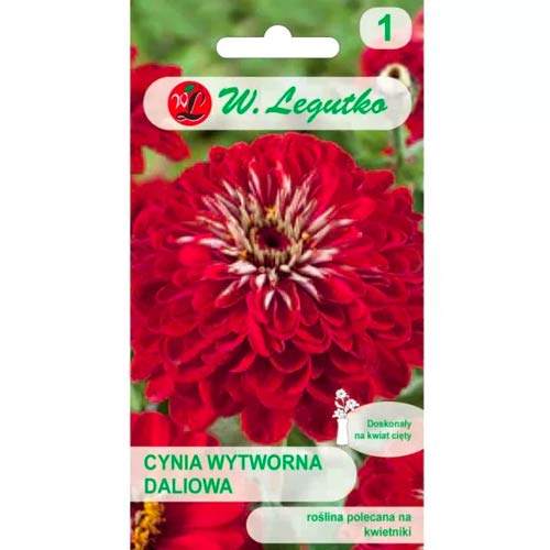 Циния Scarlet Flame Legutko изображение 1 артикул 69576