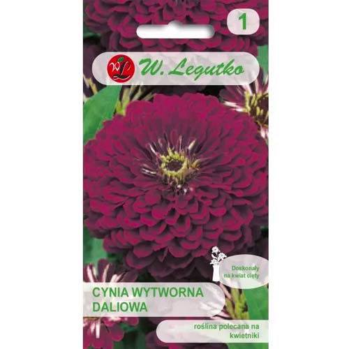 Циния Violet Queen Legutko артикул фото 1 Циния Violet Queen Legutko изображение 1 артикул 69577