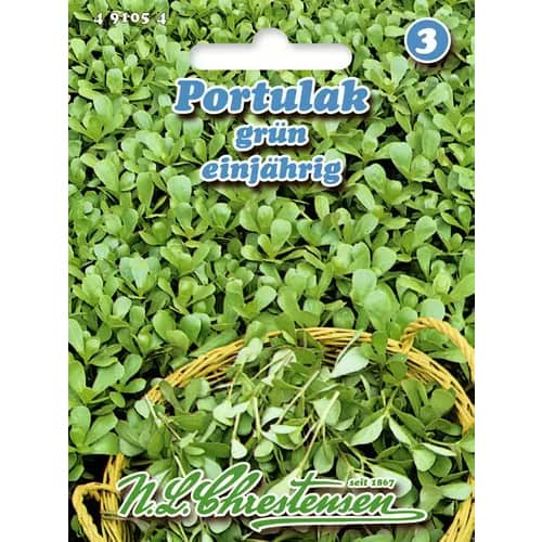 Тученица Chrestensen изображение 1 артикул 96439