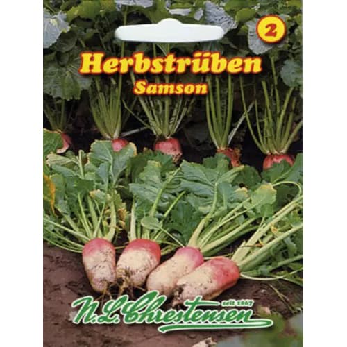 Турнепс Samson артикул фото 1 Турнепс Samson изображение 1 артикул 96476