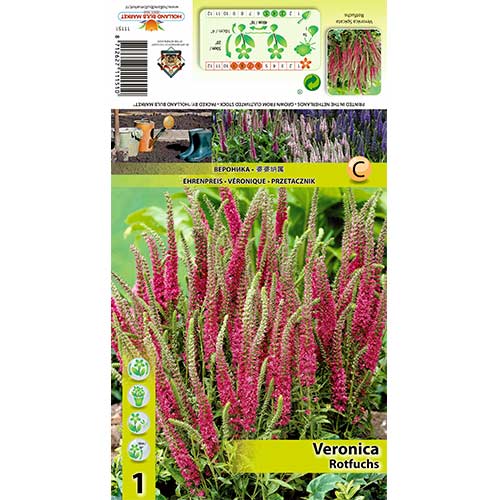 Вероника Rotfuchs изображение 1 артикул 70455