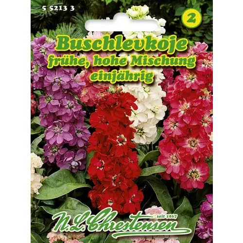 Висок летен левкой, смес изображение 1 артикул 96438