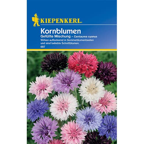 Волошка синя, Mix Kiepenkerl изображение 1 артикул 50062